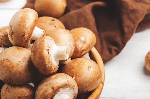 Cultiver des champignons pour une survie familiale réussie